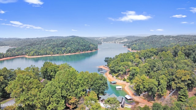 1517 Deerfield Way, Lafollette, TN 37766 - bird's eye view with a forest view and a water view