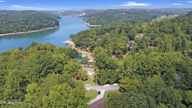 1517 Deerfield Way, Lafollette, TN 37766 - birds eye view of property featuring a forest view and a water view