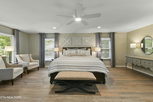 1517 Deerfield Way, Lafollette, TN 37766 - bedroom with wood finished floors, baseboards, and multiple windows