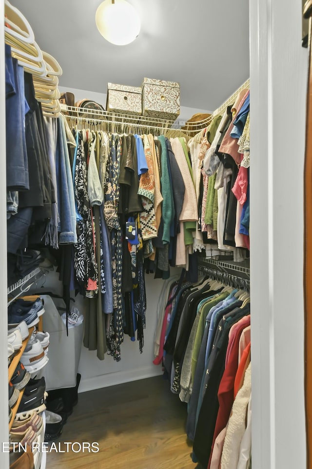1517 Deerfield Way, Lafollette, TN 37766 - spacious closet with wood finished floors