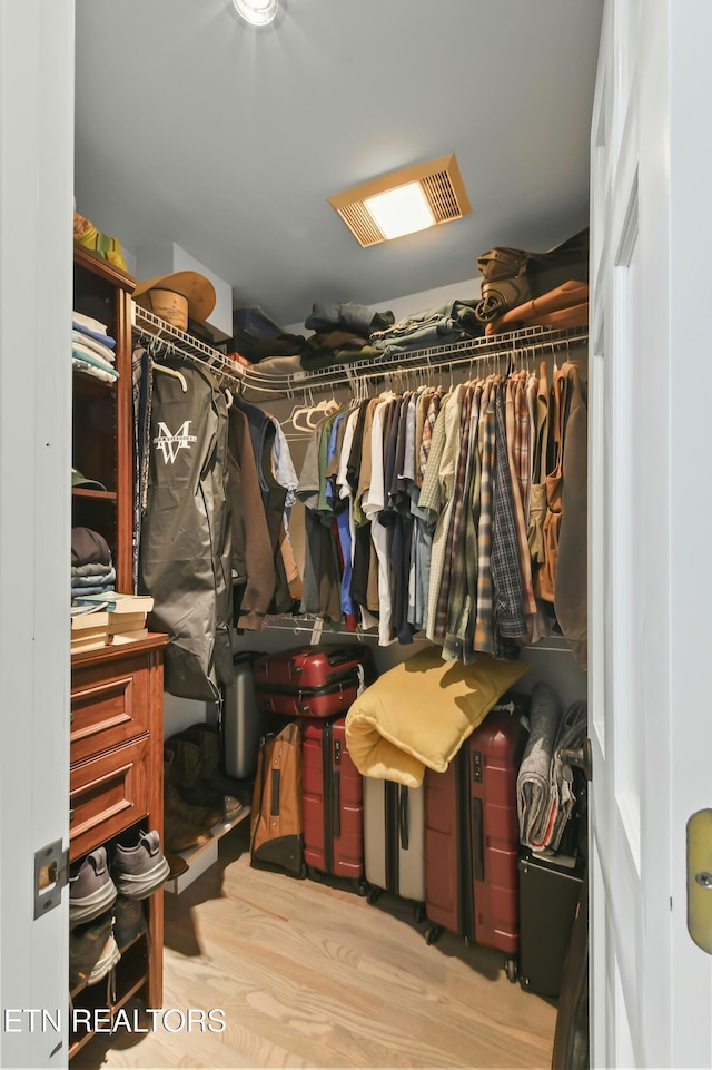 1517 Deerfield Way, Lafollette, TN 37766 - view of walk in closet