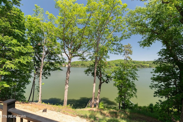 view of water feature