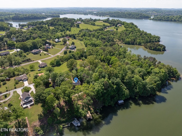 bird's eye view with a water view and a forest view