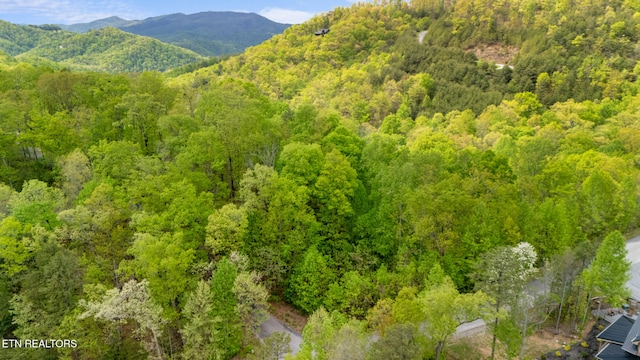 LOT66E Redtail Rd, Sevierville, TN 37862 - photo 4