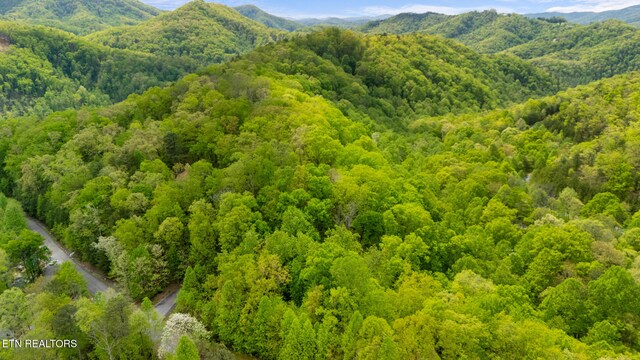 LOT66E Redtail Rd, Sevierville, TN 37862 - photo 5