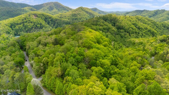 LOT66E Redtail Rd, Sevierville, TN 37862 - photo 6