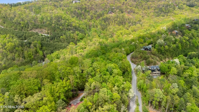 LOT66E Redtail Rd, Sevierville, TN 37862 - photo 7