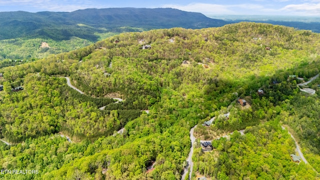 LOT66E Redtail Rd, Sevierville, TN 37862 - photo 2