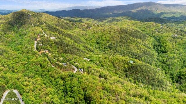 LOT66E Redtail Rd, Sevierville, TN 37862 - photo 8