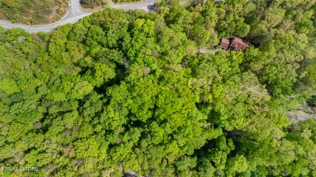 LOT66E Redtail Rd, Sevierville, TN 37862 - photo 9
