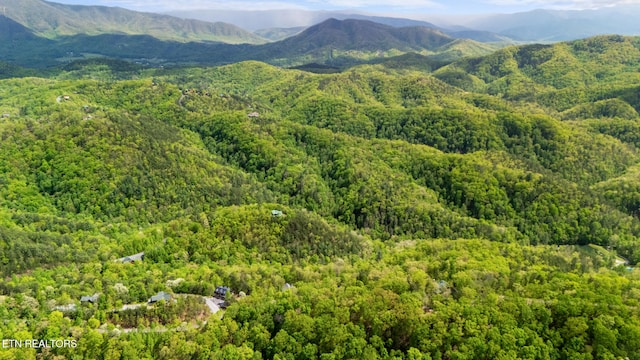 LOT66E Redtail Rd, Sevierville, TN 37862 - photo 10