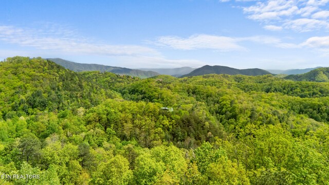 LOT66E Redtail Rd, Sevierville, TN 37862 - photo 11