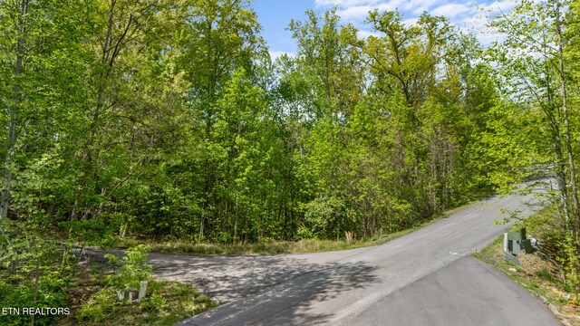 LOT66E Redtail Rd, Sevierville, TN 37862 - photo 3