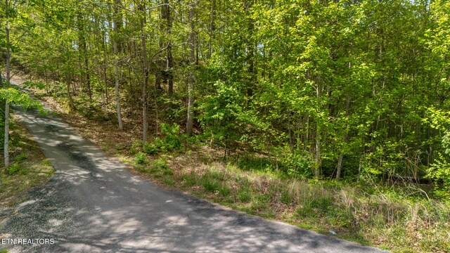 LOT66E Redtail Rd, Sevierville, TN 37862 - photo 12