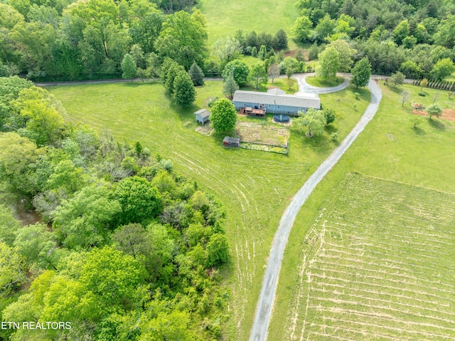 7649 Ray Ln, Maryville, TN 37801 - photo 46