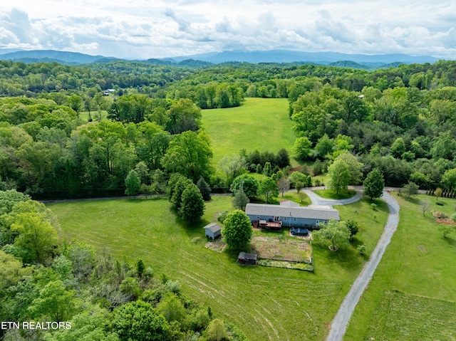 7649 Ray Ln, Maryville, TN 37801 - photo 48