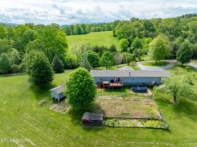 7649 Ray Ln, Maryville, TN 37801 - photo 49