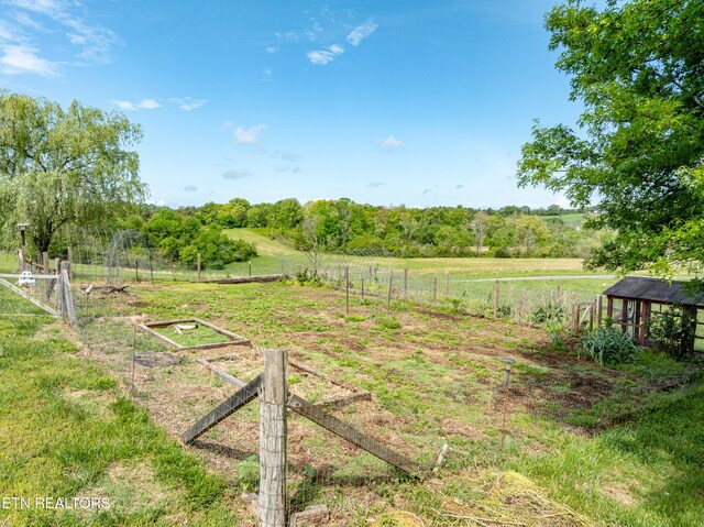 7649 Ray Ln, Maryville, TN 37801 - photo 52