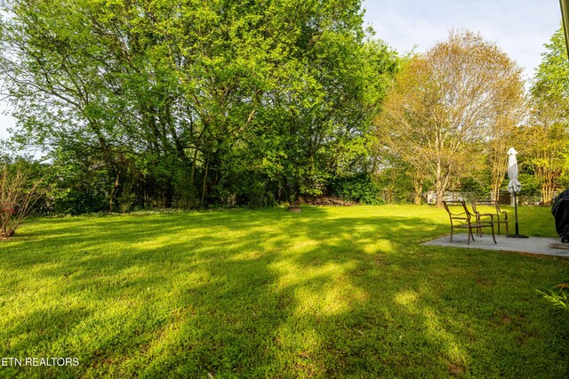 view of yard with a patio area