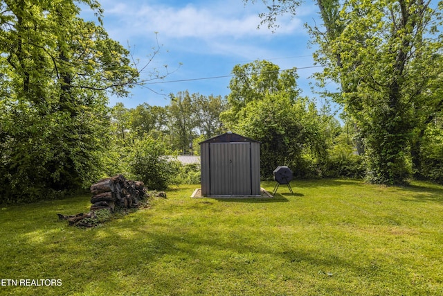 view of yard with a storage shed and an outbuilding