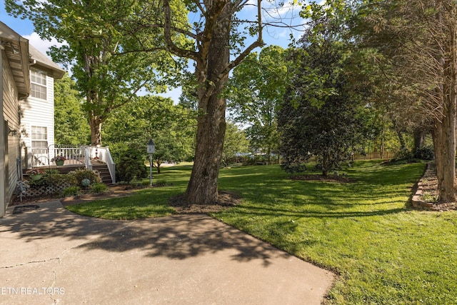 view of yard with a wooden deck and a patio area