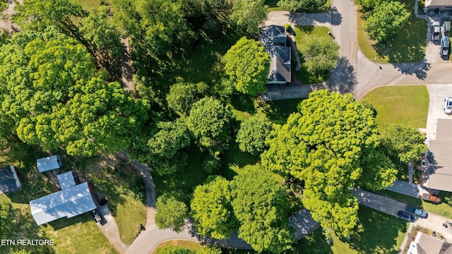 bird's eye view