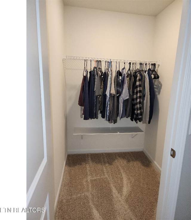 128 Waverly, Talbott, TN 37877 - spacious closet with carpet