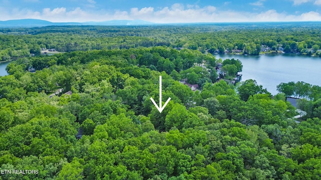 111 Juniper Dr, Fairfield Glade, TN 38558 - photo 38