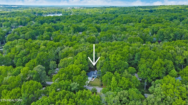 111 Juniper Dr, Fairfield Glade, TN 38558 - photo 37