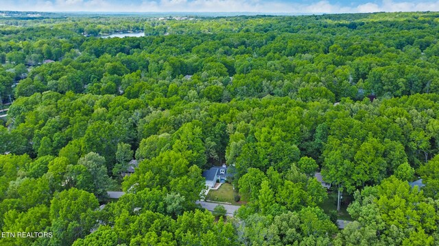 111 Juniper Dr, Fairfield Glade, TN 38558 - photo 42