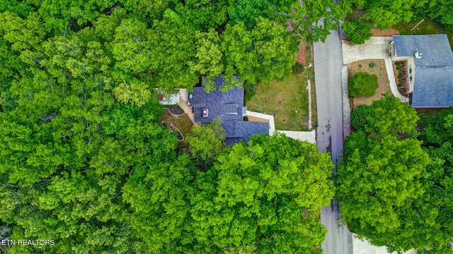 111 Juniper Dr, Fairfield Glade, TN 38558 - photo 36
