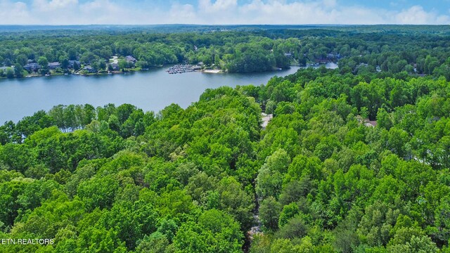 111 Juniper Dr, Fairfield Glade, TN 38558 - photo 40
