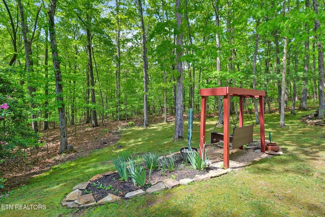 111 Juniper Dr, Fairfield Glade, TN 38558 - photo 35
