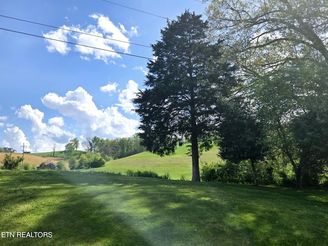 view of yard featuring a rural view