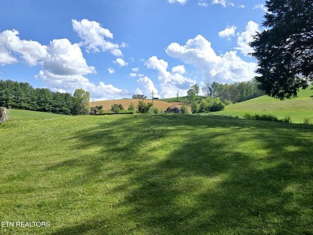 view of yard featuring a rural view