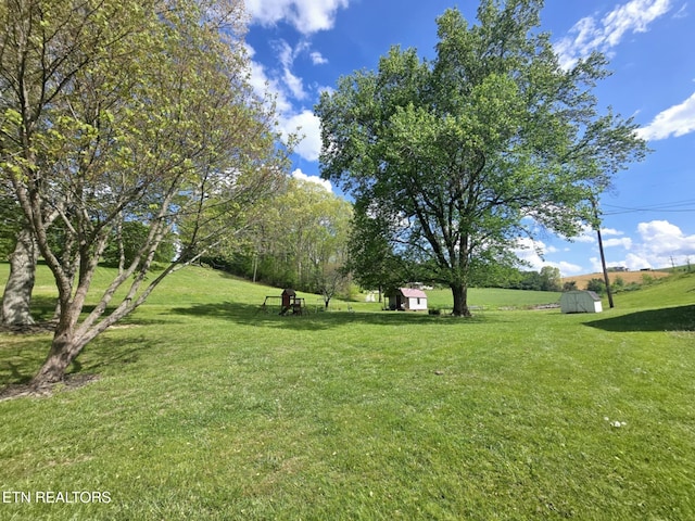 view of yard with an outdoor structure and a shed