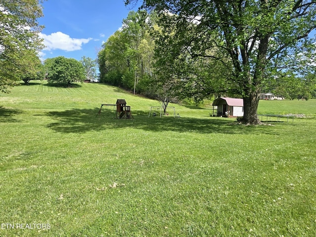 view of yard featuring an outdoor structure and a shed