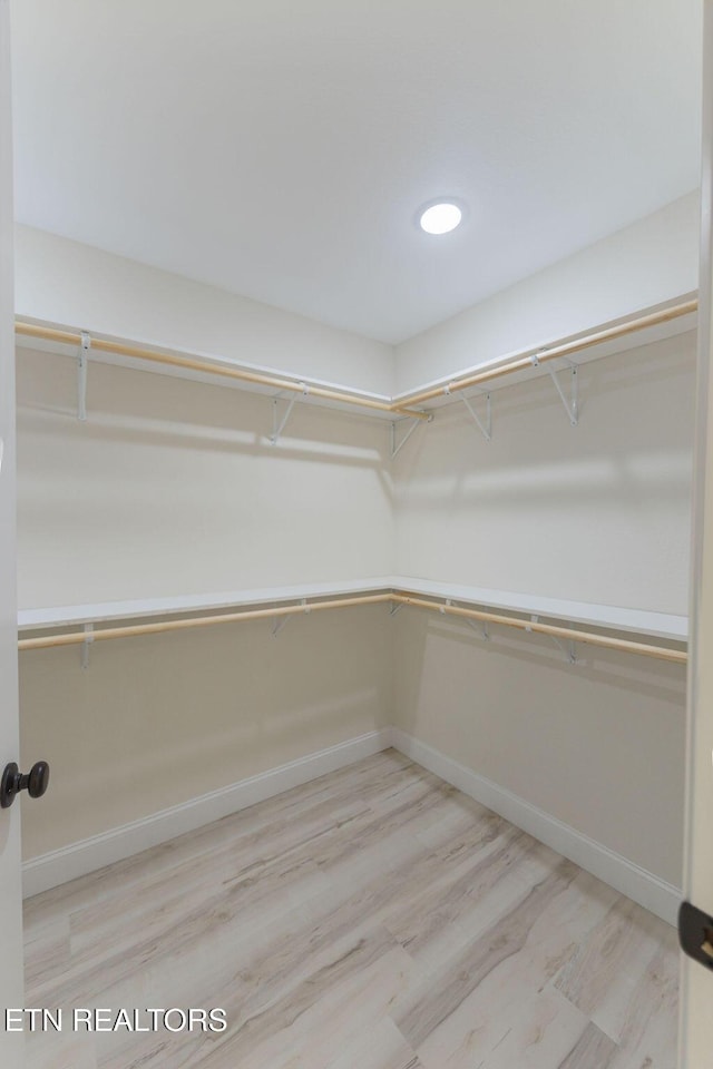 spacious closet featuring wood finished floors