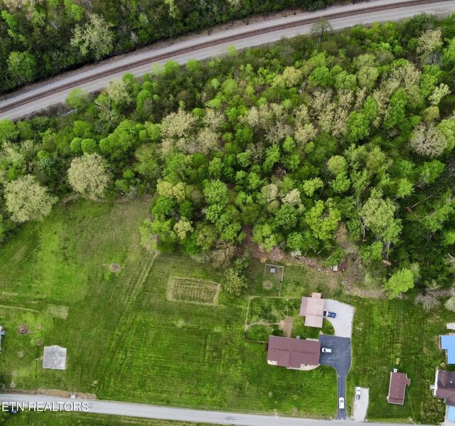 drone / aerial view