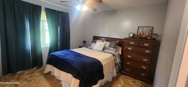 1058 Mountain View Rd, Robbins, TN 37852 - carpeted bedroom with a ceiling fan