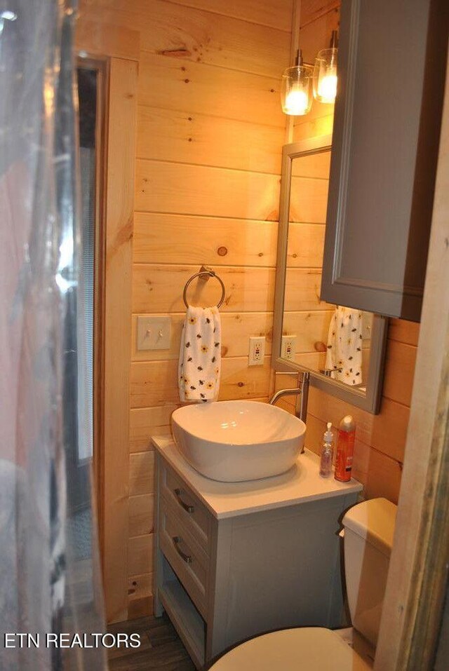 750 Caney Creek Rd, Cosby, TN 37722 - bathroom featuring toilet, vanity, and wooden walls