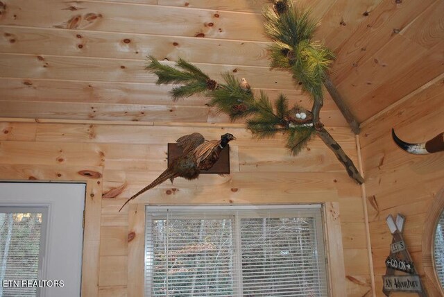 750 Caney Creek Rd, Cosby, TN 37722 - room details with wooden walls