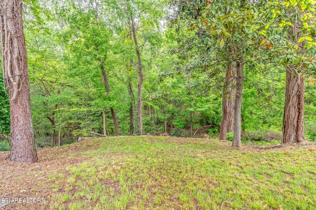 641 Pennsylvania Ave, Oak Ridge, TN 37830 - photo 28