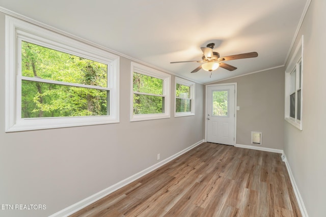 641 Pennsylvania Ave, Oak Ridge, TN 37830 - photo 12
