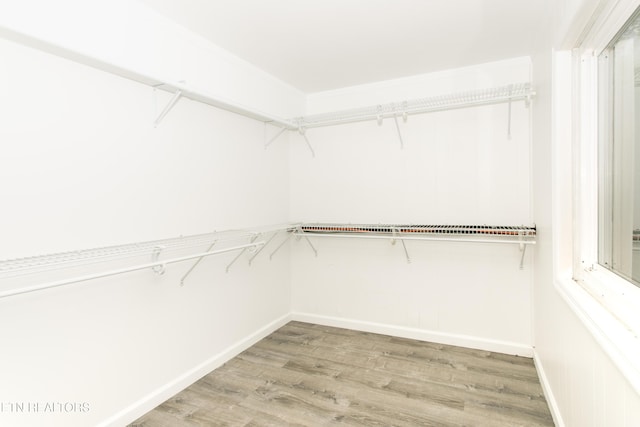 1340 Sumac Dr, Knoxville, TN 37919 - walk in closet featuring light wood finished floors