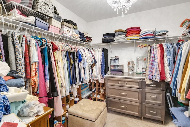 spacious closet with light carpet