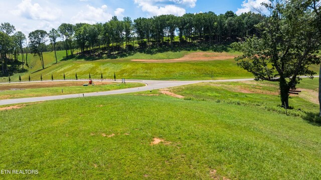111 Tennesse National Dr, Loudon, TN 37774 - photo 28