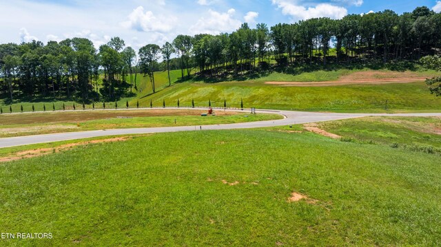 111 Tennesse National Dr, Loudon, TN 37774 - photo 6