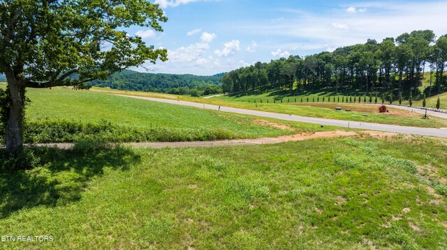 111 Tennesse National Dr, Loudon, TN 37774 - photo 29