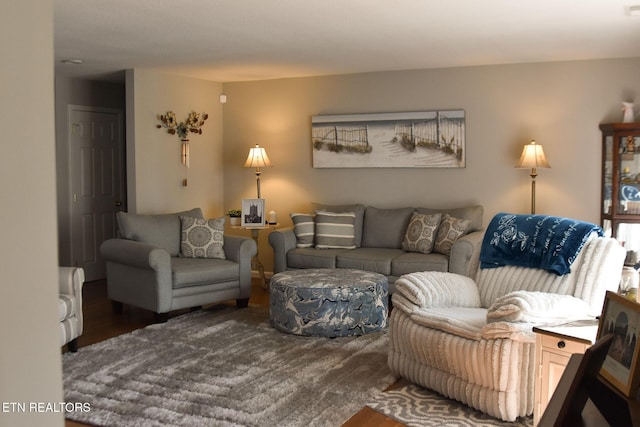 living room with wood finished floors